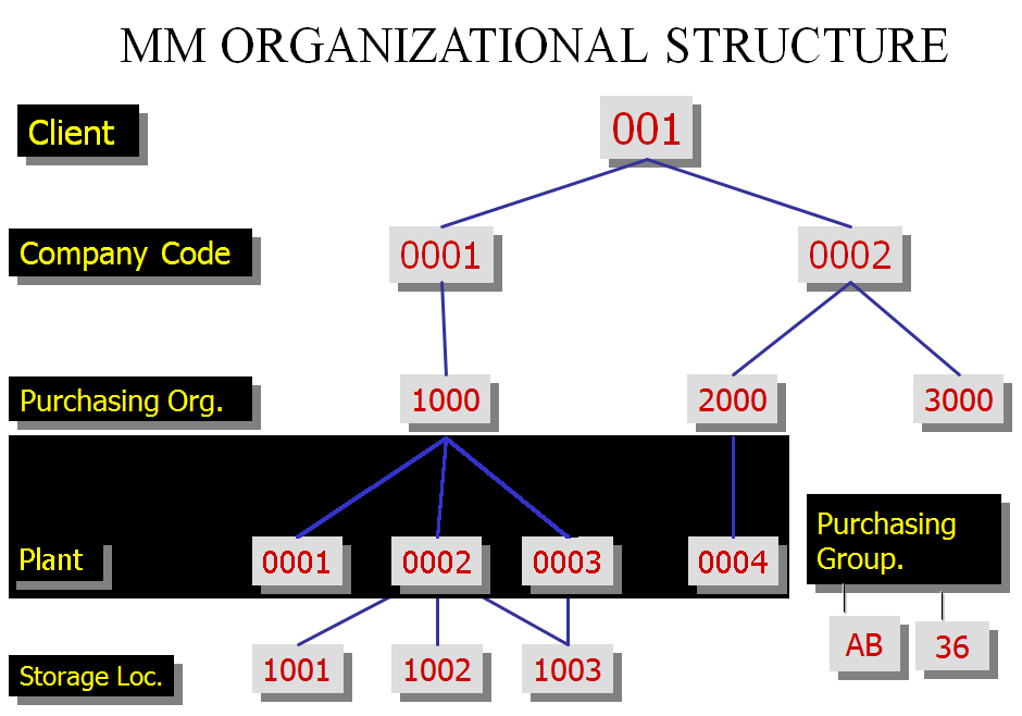 Sap Organizational Chart